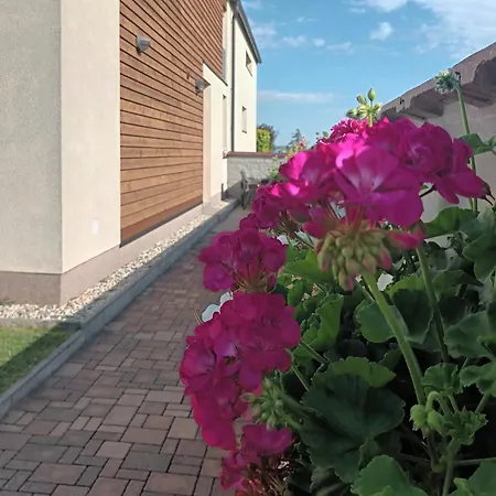 Accommodatie bij particulieren Na Vinici *