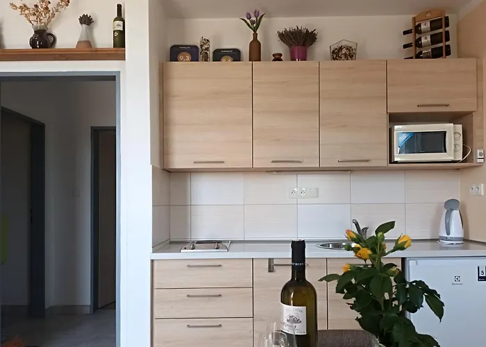 Kwatera prywatna Na Vinici *